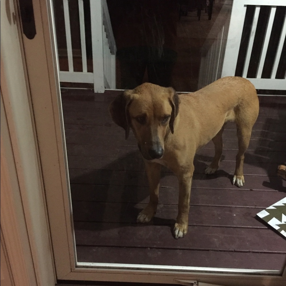 Meet your Posher, Aubriey